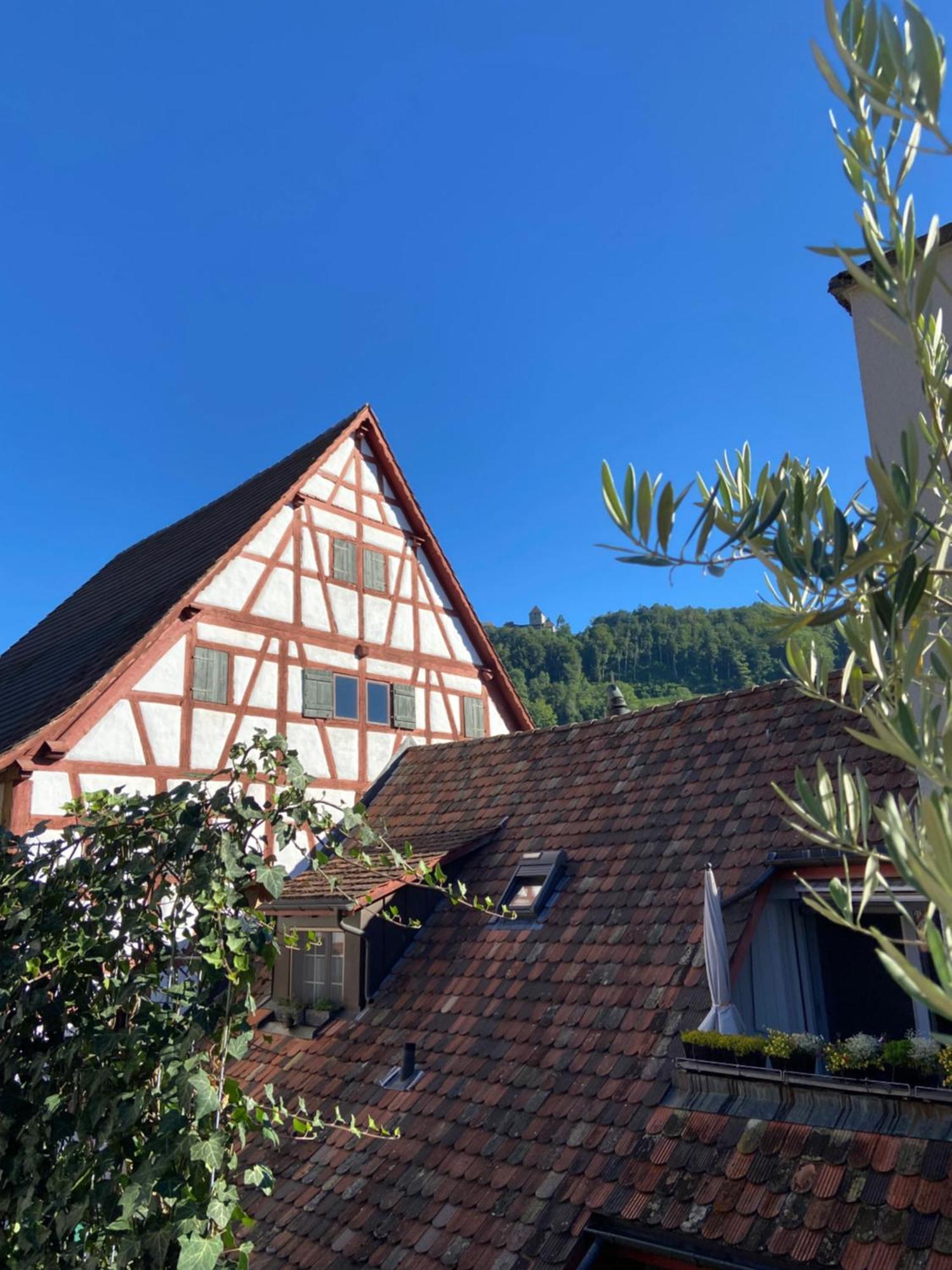 Understadt 14 Guesthouse Stein Am Rhein Bagian luar foto